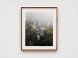 Dandaka 2 by Vasantha Yogananthan contemporary artwork photography print