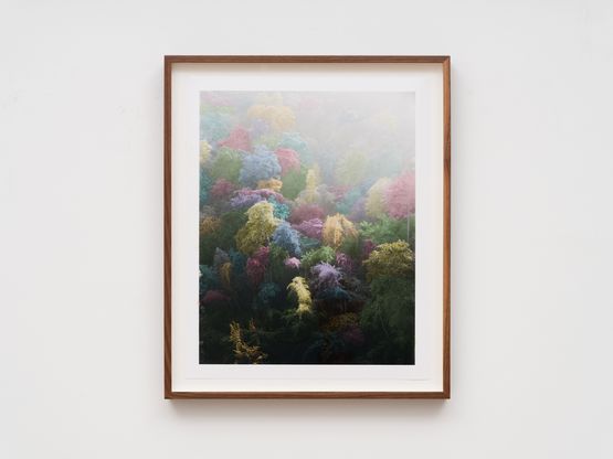 Dandaka 2 by Vasantha Yogananthan contemporary artwork Photography