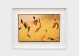Pastoral by Jonathan Wateridge contemporary artwork painting