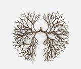 Arborescence Oak by Prune Nourry contemporary artwork sculpture