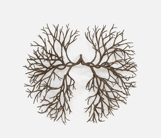 Arborescence Oak by Prune Nourry contemporary artwork Sculpture