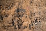 The edge of memory III by Julien Segard contemporary artwork drawing