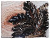 Zamioculcas 1 by Liu Chih-Hung contemporary artwork painting