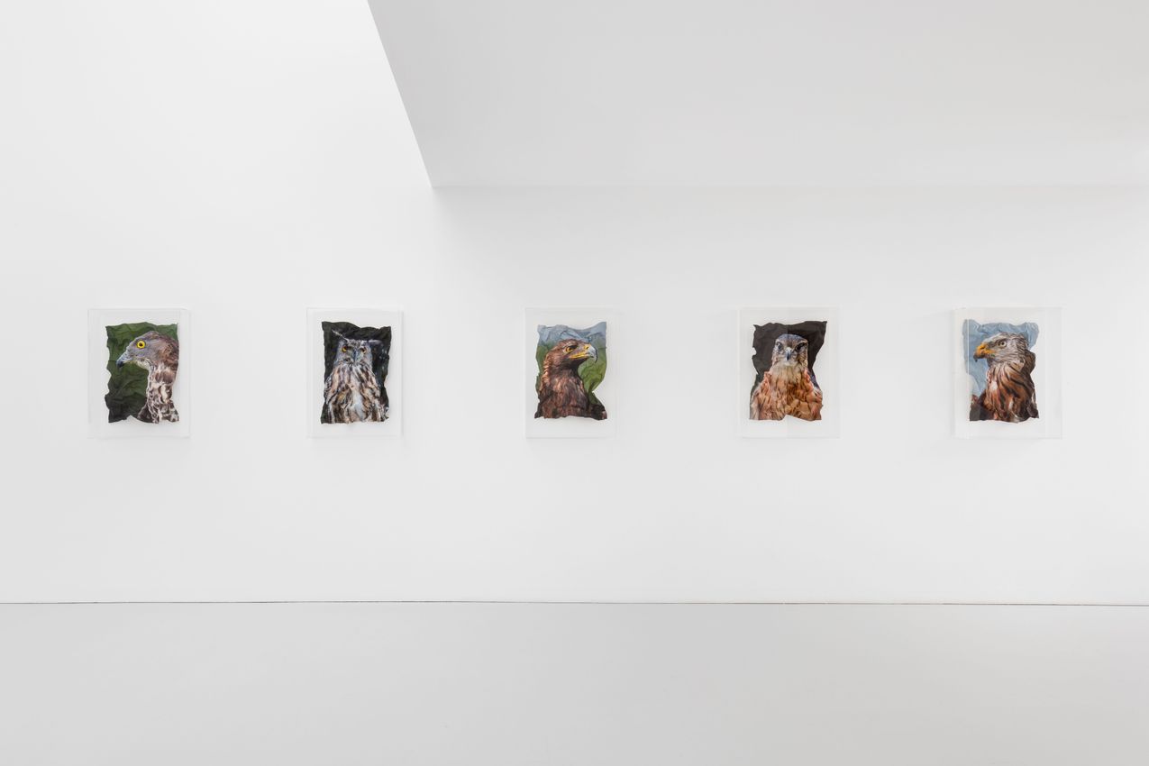 Marcus Coates