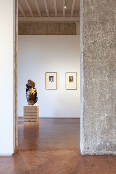 Mrinalini Mukherjee: Force(s) of Nature