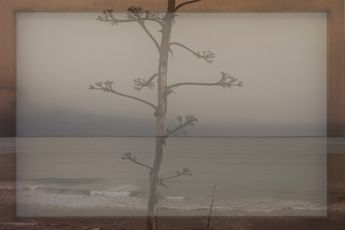 Joan Ill contemporary artist