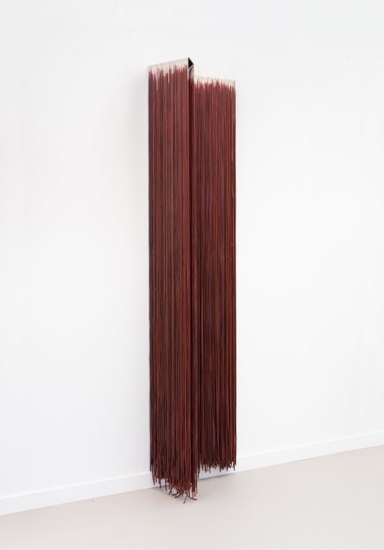 Organized Salt Water Agua salada organizada by Delcy Morelos contemporary artwork Sculpture