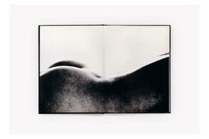 Anne Collier