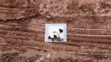Ice Skate by Hu Jiayi contemporary artwork moving image