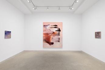 Contemporary art exhibition Emma McIntyre Among my swan at David Zwirner Hong Kong
