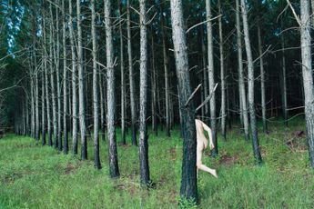 Ryan McGinley contemporary artist