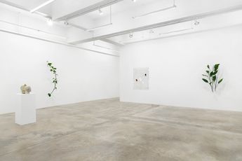 Contemporary art exhibition Tania Perez Cordova Precipitation at Tina Kim Gallery New York United States