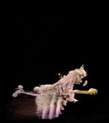 Zizi in Motion A Deepfake Drag Utopia movement by Wet Mess - TeTe Bang by Jake Elwes contemporary artwork moving image