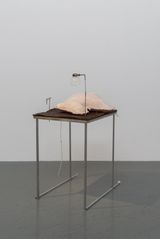 Echo Plantation by Nobuko Tsuchiya contemporary artwork sculpture