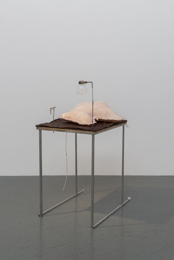 Echo Plantation by Nobuko Tsuchiya contemporary artwork Sculpture