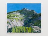 Mountain No. 1 by Lisa Milroy contemporary artwork painting