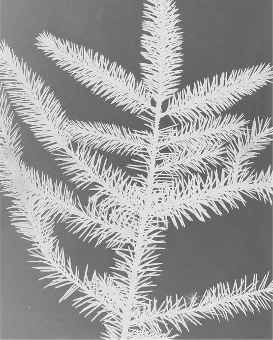 Untitled by The Estate Of Anwar Jalal Shemza contemporary artwork Photography