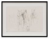 Horses by Anne Imhof contemporary artwork drawing