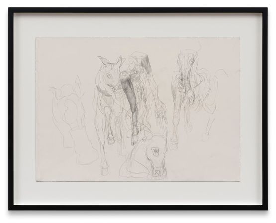 Horses by Anne Imhof contemporary artwork Drawing