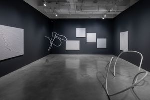 tomie ohtake