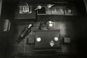 Laurie Simmons
