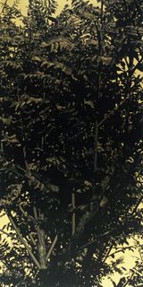 Constellation Fort Road 2 by Jason Wee contemporary artwork print