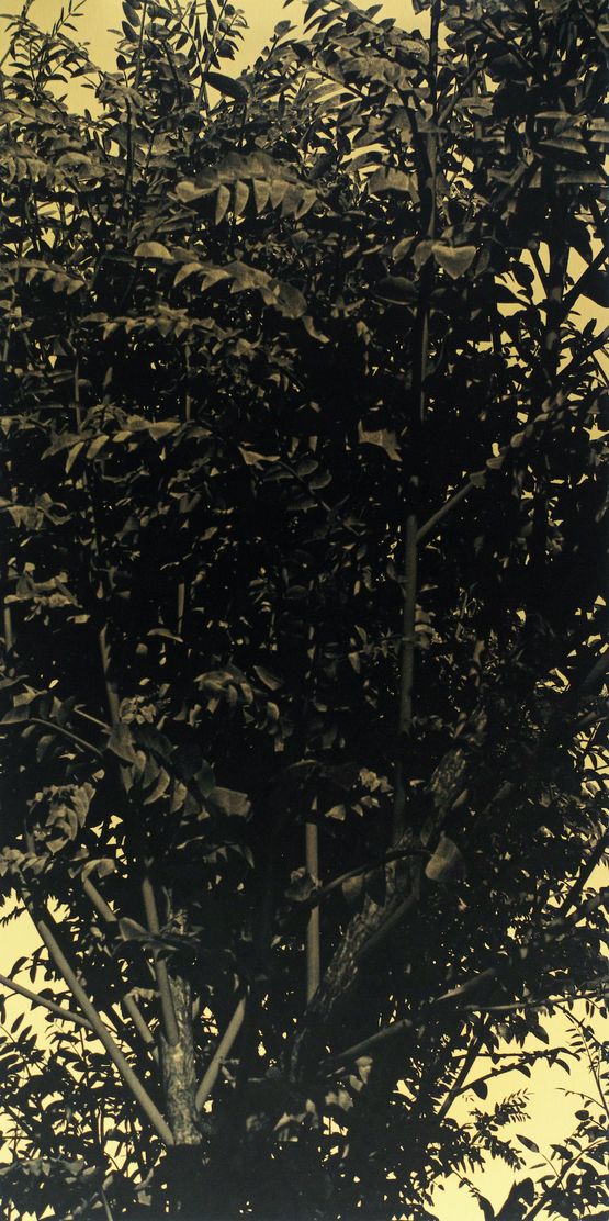 Constellation Fort Road 2 by Jason Wee contemporary artwork Print