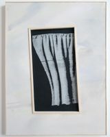 L.S.S.L.D.LA. II Fleeting sectrets SaoPaulo - Cologne by Bela Pablo Janssen contemporary artwork drawing print works on paper