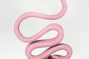 Caroline Rothwell