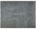 Tree Trunk by Krishna Reddy contemporary artwork Print