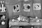 Roger Ballen contemporary artist