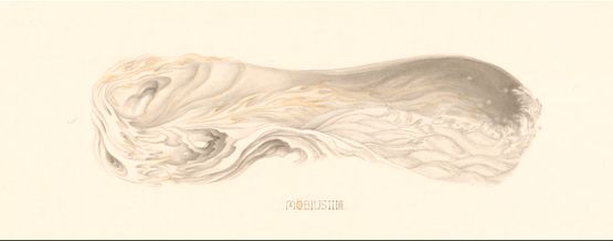 Mobius III by Zhang Xiaoli contemporary artwork Works on Paper