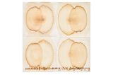by Sung Neung Kyung contemporary artwork works on paper