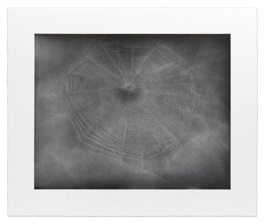 Vija Celmins