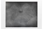 Vija Celmins contemporary artist
