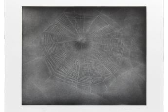 Vija Celmins contemporary artist