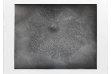 Vija Celmins contemporary artist