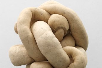 Sarah Lucas contemporary artist