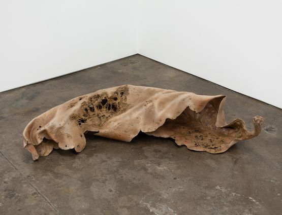 Make a Wish tan by Lewis Fidock  Joshua Petherick contemporary artwork Sculpture