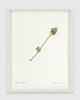 Snail Trumpet by David Byrne contemporary artwork works on paper