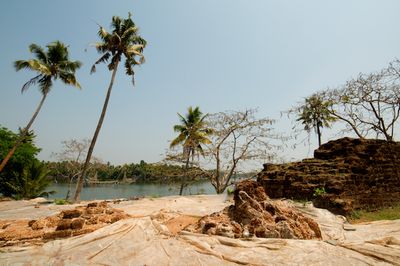 Activating Multiple Perspectives the 3rd Kochi-Muziris Biennale