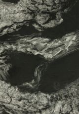 Archival Plate 02 by Samim Alam Beg contemporary artwork print