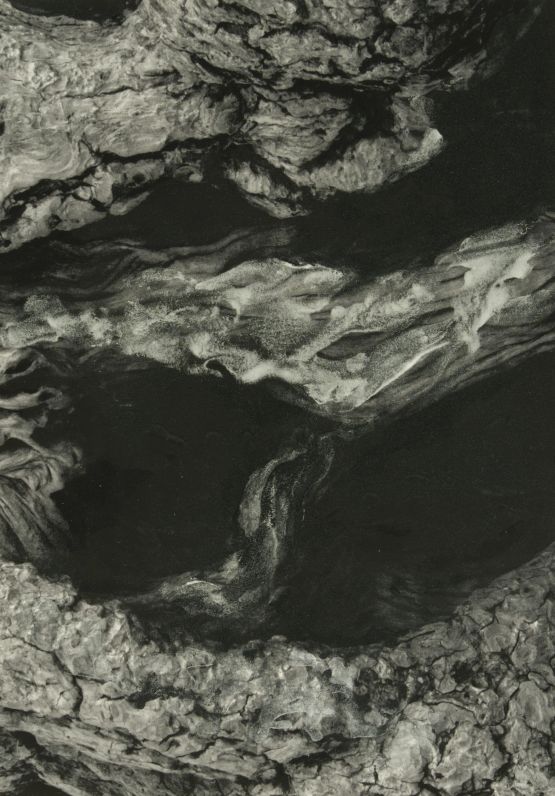 Archival Plate 02 by Samim Alam Beg contemporary artwork Print