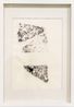 Stone telling Caylus 4 by Boedi Widjaja contemporary artwork Works on Paper