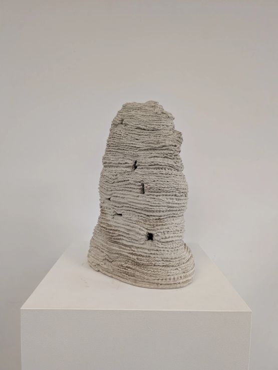 Untitled from the series Cupinzeiros by Lidia Lisboa contemporary artwork Sculpture