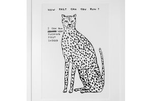 David Shrigley