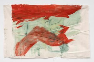 Vivian Suter