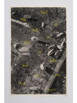 how long it took to find my words have you ever been heard by Paul Hutchinson contemporary artwork print