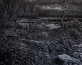 Untitled by Pranay Dutta contemporary artwork painting photography