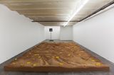 I re-place the horizontal of the water by Miklos Onucsan contemporary artwork installation